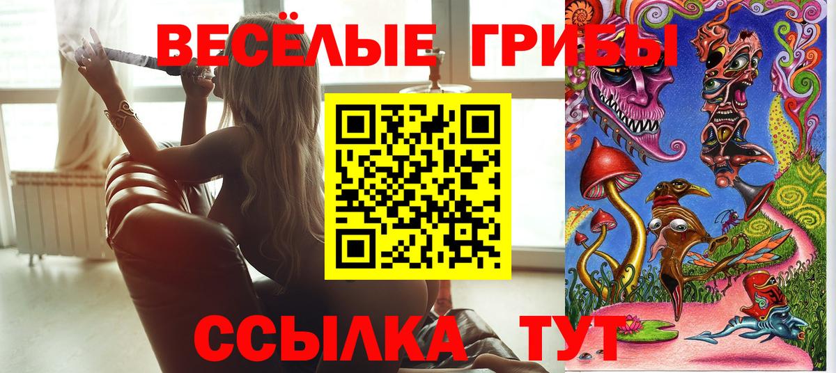 Норильск  Псилоцибиновые грибы Cubensis  где купить наркоту  Вход с VPN 